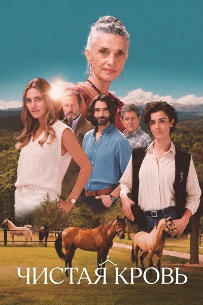 Чистая кровь